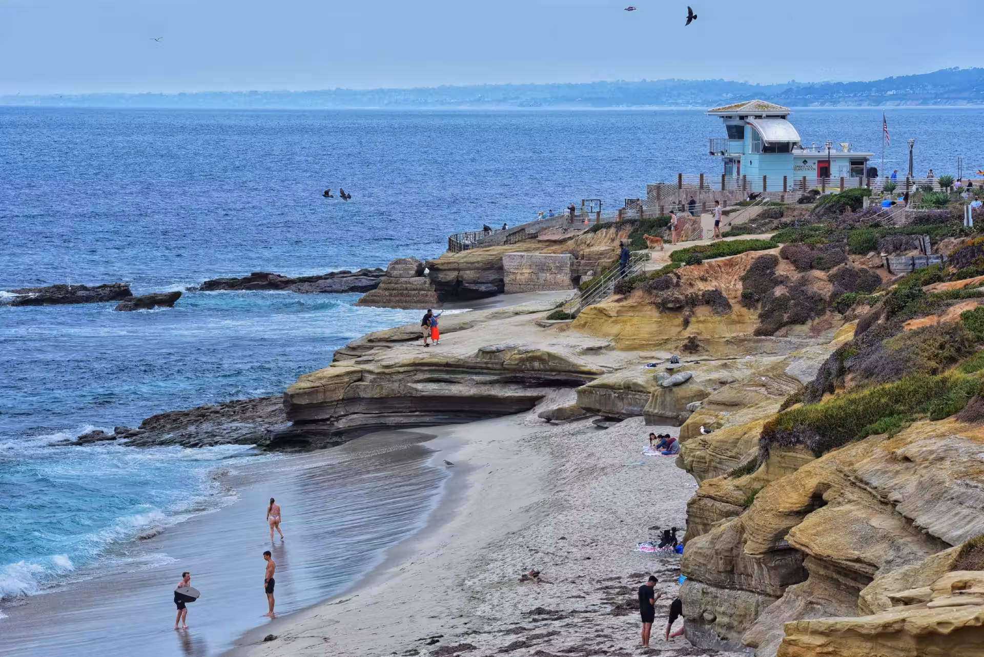Best Time to Visit Black’s Beach in San Diego